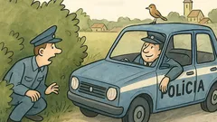 Vtip: Idú dvaja policajti autom, keď...