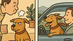 Vtip: Ako to, že keď psovi fúkneš...