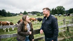 Vtipná historka: Na lúke ležali kravy a jedna otázka mi nedala spať